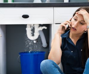 About The Faucet Pros Hardenville, MO